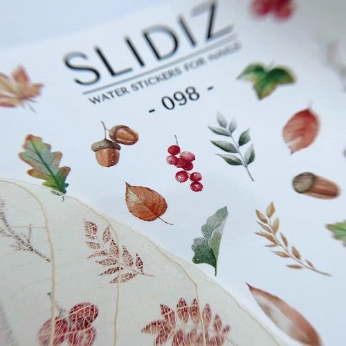 Слайдер-дизайн Slidiz 098 Листя та рослини