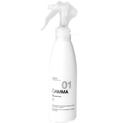 Спрей для випрямлення волосся Erayba G01 Equalizer Spray 200 мл
