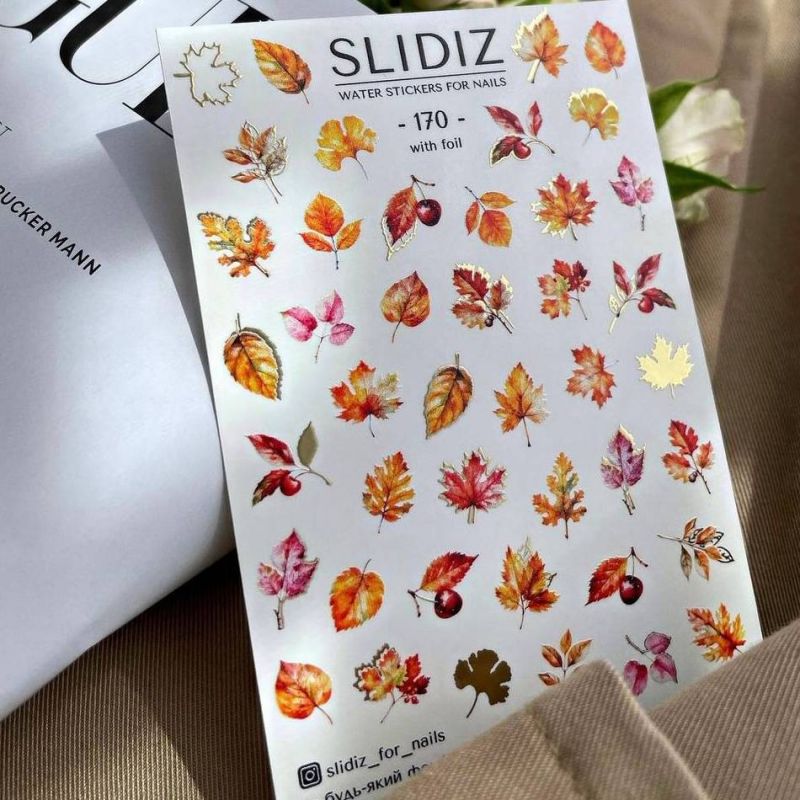Слайдер-дизайн Slidiz 170 Осіннє листя
